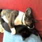 1 Mes